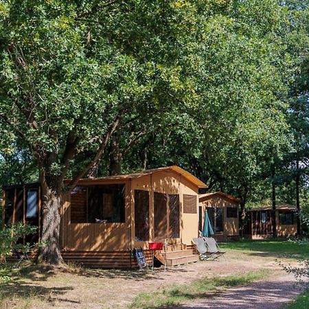 Huttopia De Roos Stegeren Zewnętrze zdjęcie